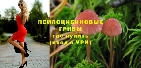 сатива Краснотурьинск