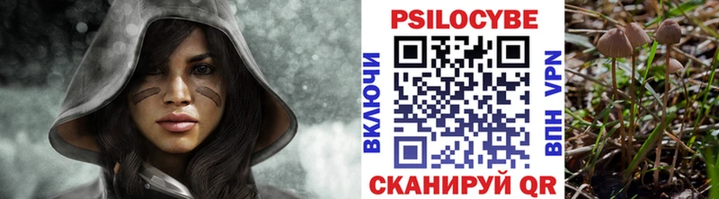 Купить где  Беломорск  Псилоцибиновые грибы GOLDEN TEACHER 